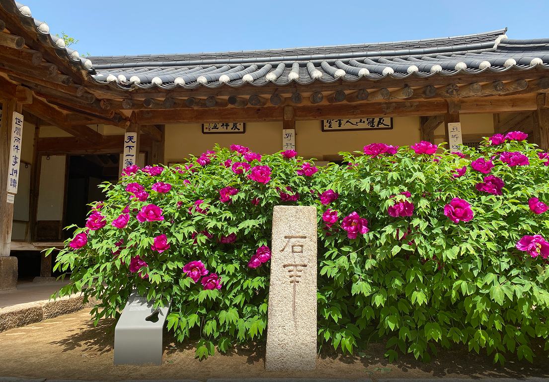 석년