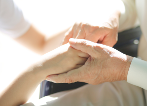 효 실천헌장 관련 이미지