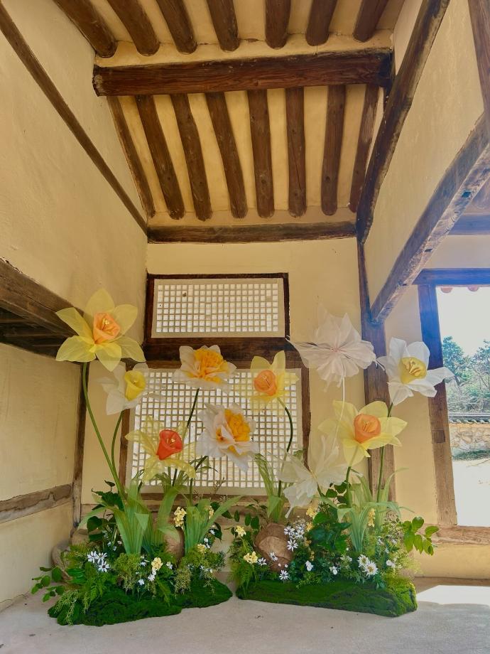 세한(歲寒)을 견디고 피어난 추사의 꽃, 수선화(추사고택에서 역사관광과 봄나들이를 한번에!) 이미지