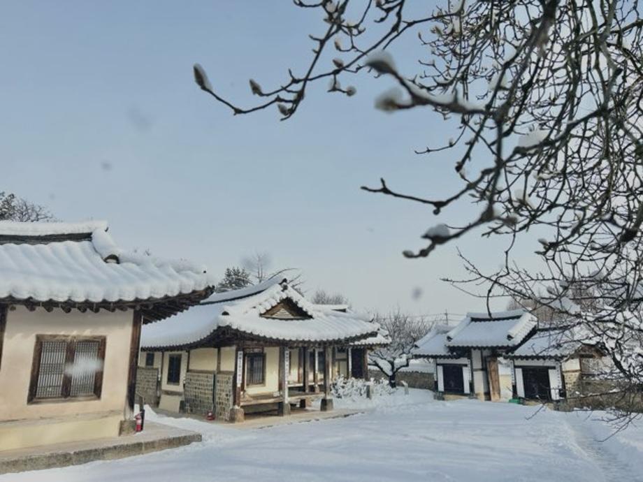 설경이 그림같은 이 곳... 추사고택 이미지