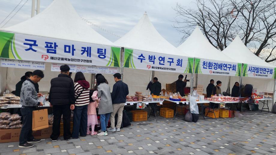 20251108_101432 이미지