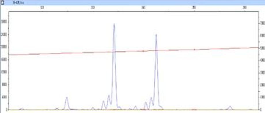 황새 개체의 유전자 표식 분석모습 (1) 이미지
