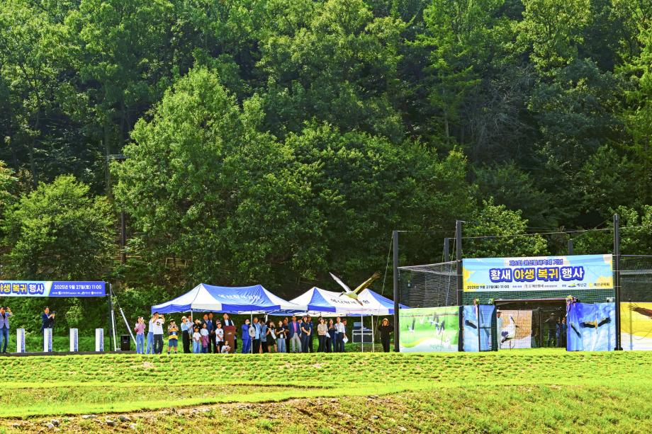 황새 방사행사1 이미지