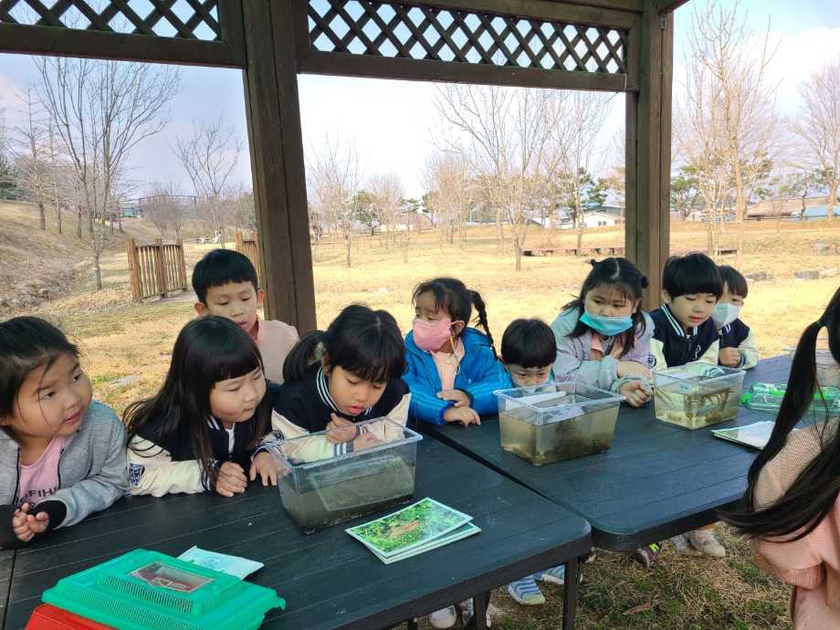 3월 개구리 도룡뇽 두꺼비 올챙이 관찰 이미지