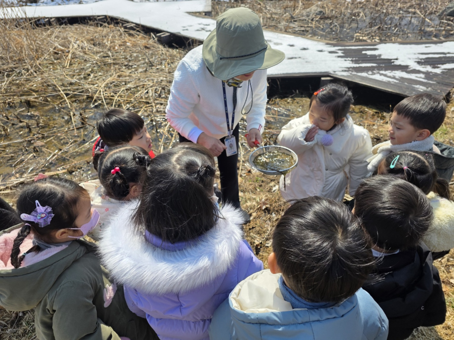 3월 양서류 채집 이미지