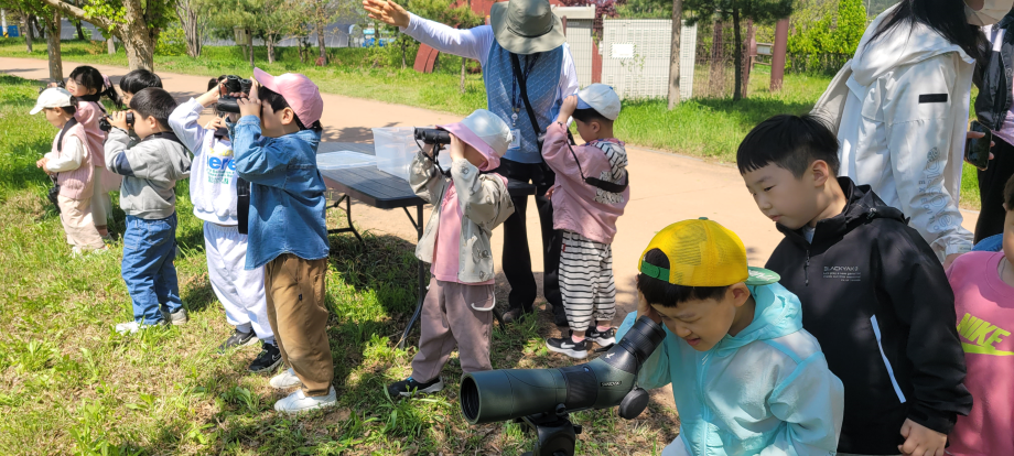 황새 가족 관찰 / 아가황새 관찰 이미지