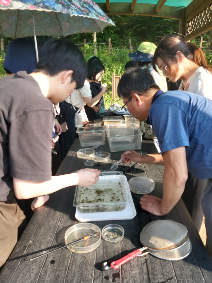 수서곤충 분류 이미지