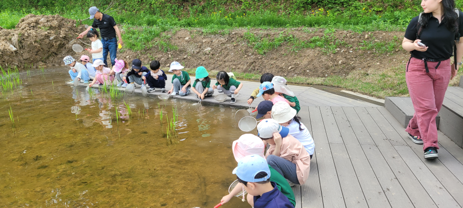 수서곤충 채집 이미지