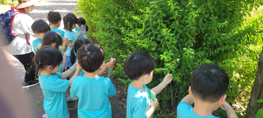 애벌레 찾기 이미지