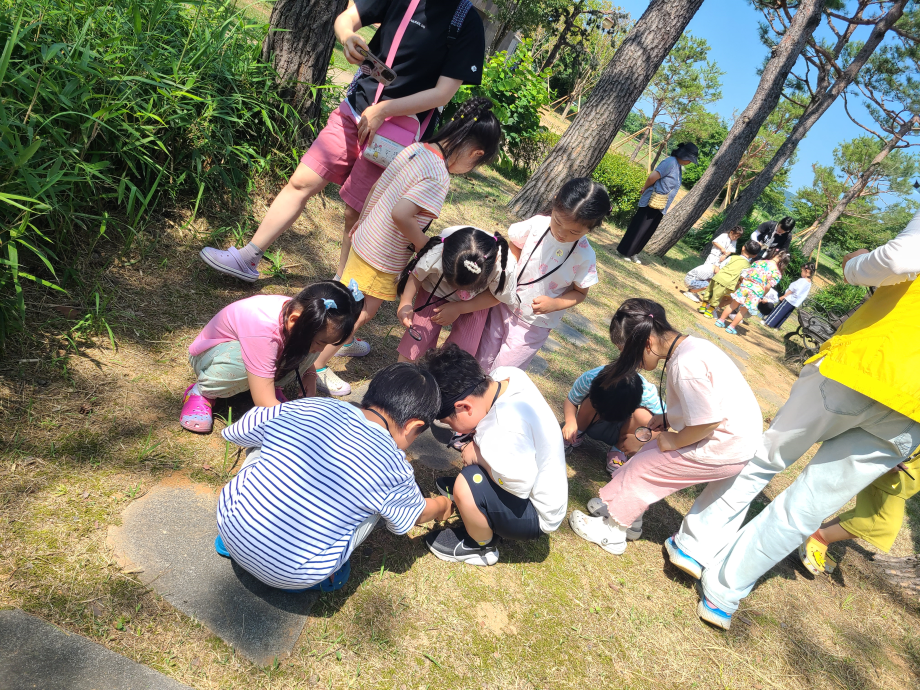 개미집을 찾아라 / 개미관찰 이미지