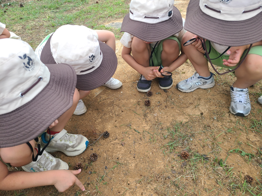 개미집을 찾아라 이미지