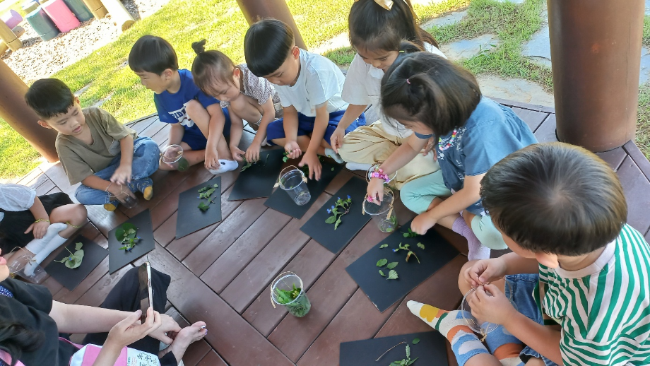 곤충 채집 이미지