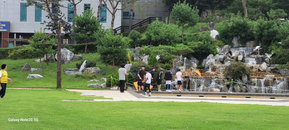 곤충 채집 이미지