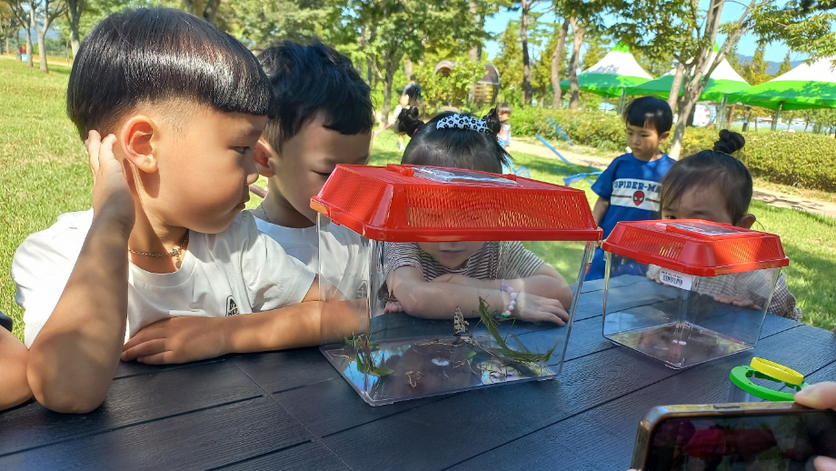 채집된 곤충 관찰 이미지