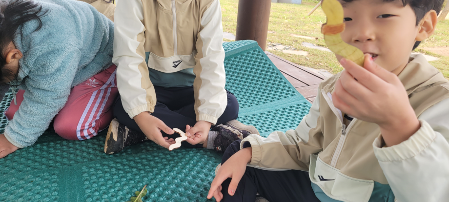 지렁이를 만나요 이미지