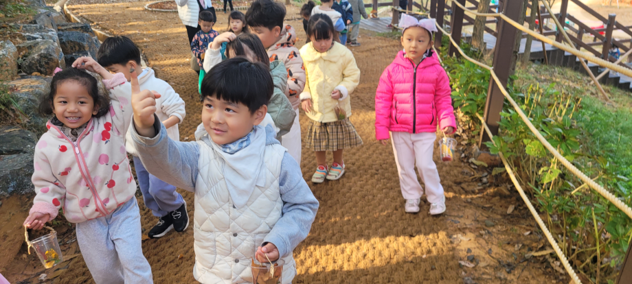 단풍을 이용 단풍사자 만들기 / 생태미술 활동 이미지