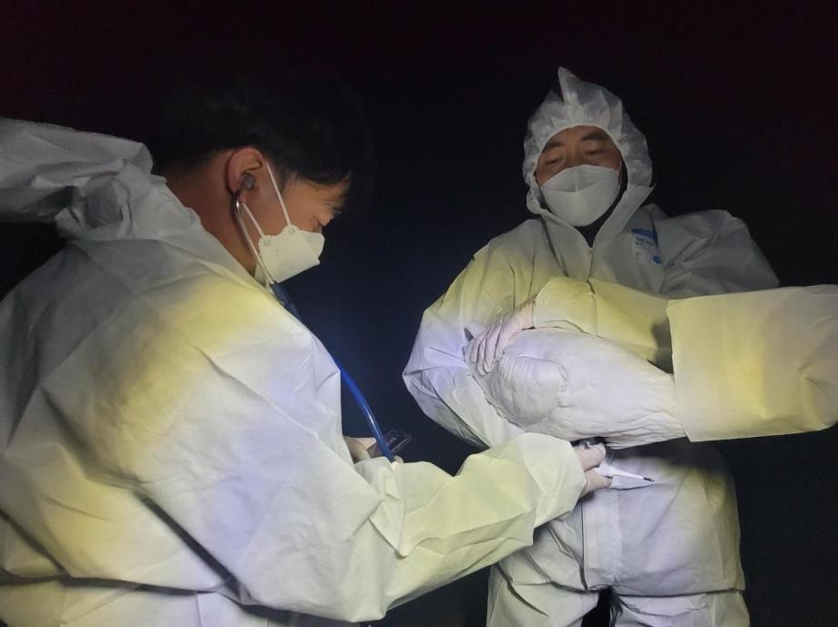 황새 진출하는 수의사 이미지