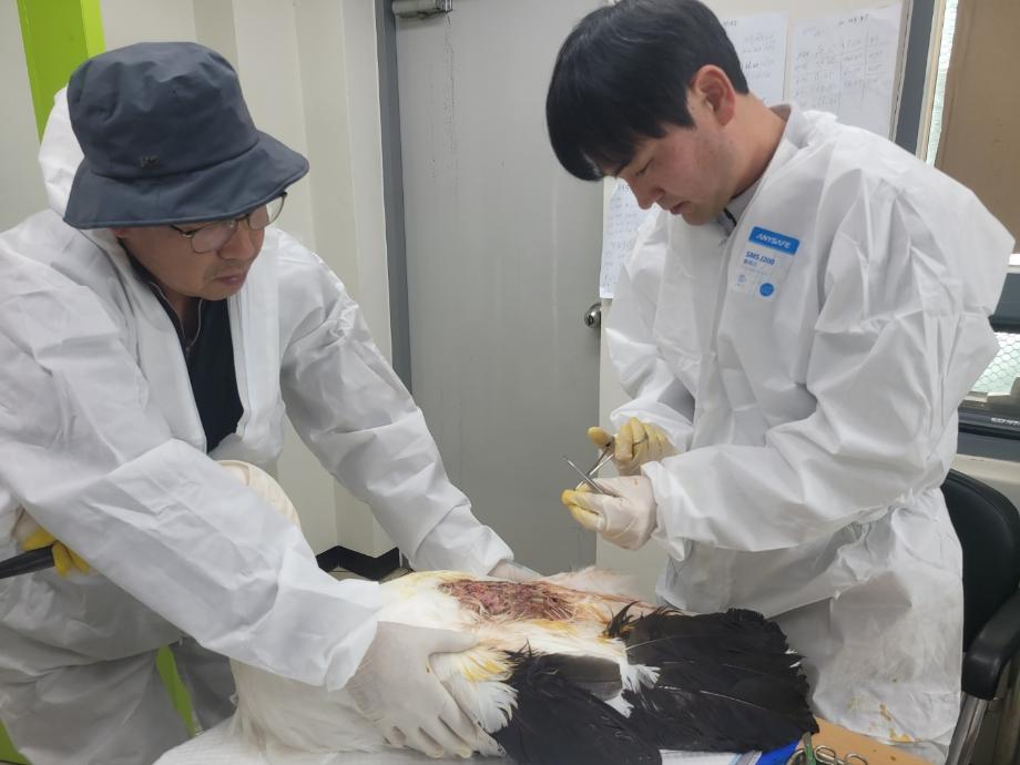 황새 진출중인 김정호수의사님 이미지