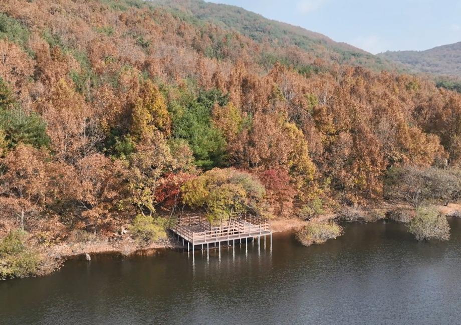 살목지 전망대 이미지