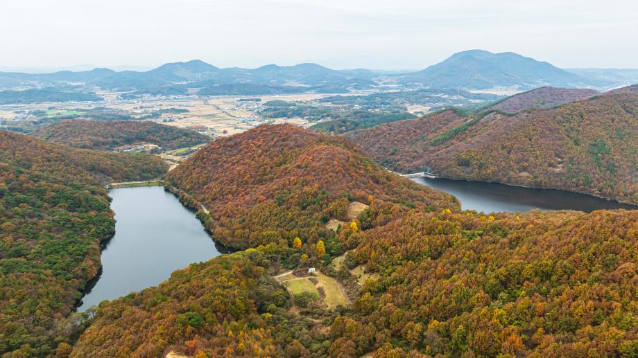 황새공원 근처, 쌍둥이 저수지(보강지, 살목지) 이미지