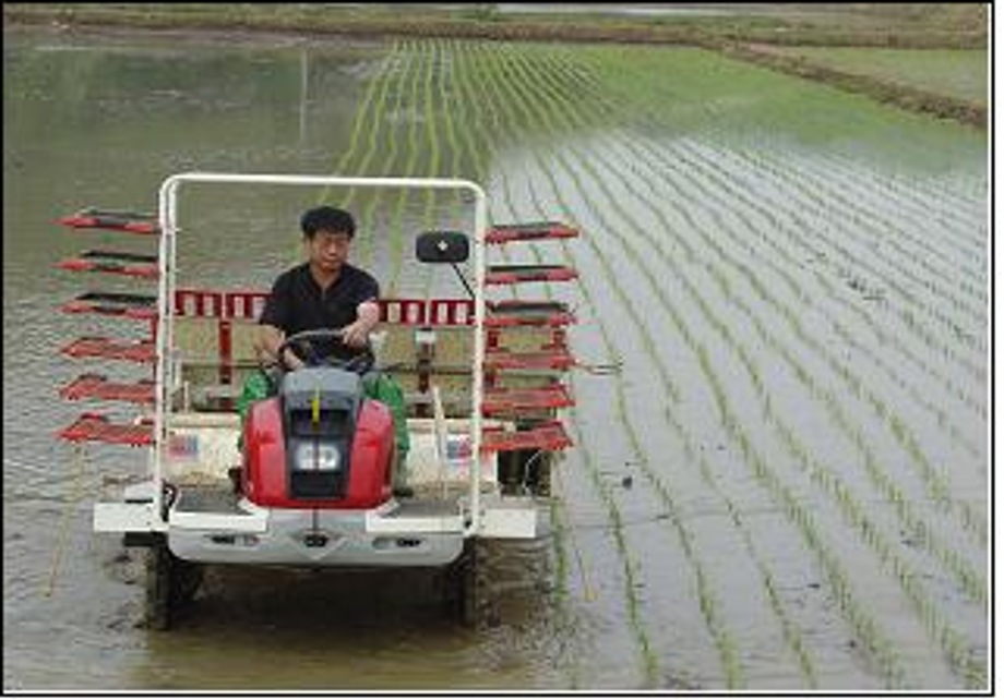 예산군농업기술센터, 「노동력이 없는 노령층, 기초생활자 등에게 모내기 지원」 이미지