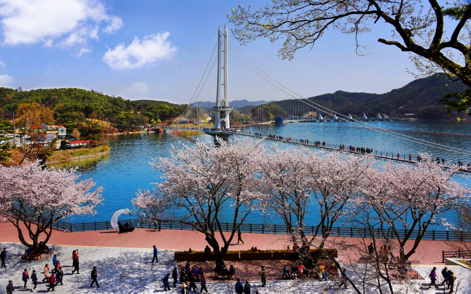 출렁다리 봄 이미지