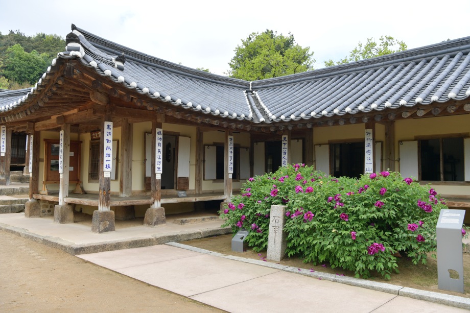 추사고택의 봄날 풍경 이미지