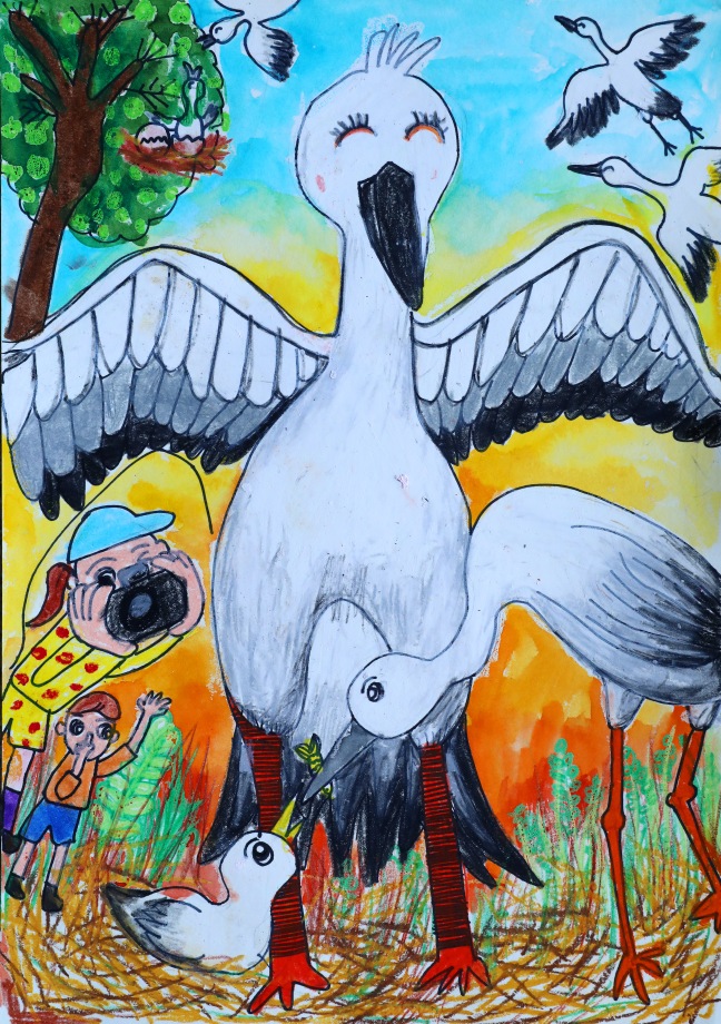 황새 전국 사진(그림) 공모전 당선작 이미지