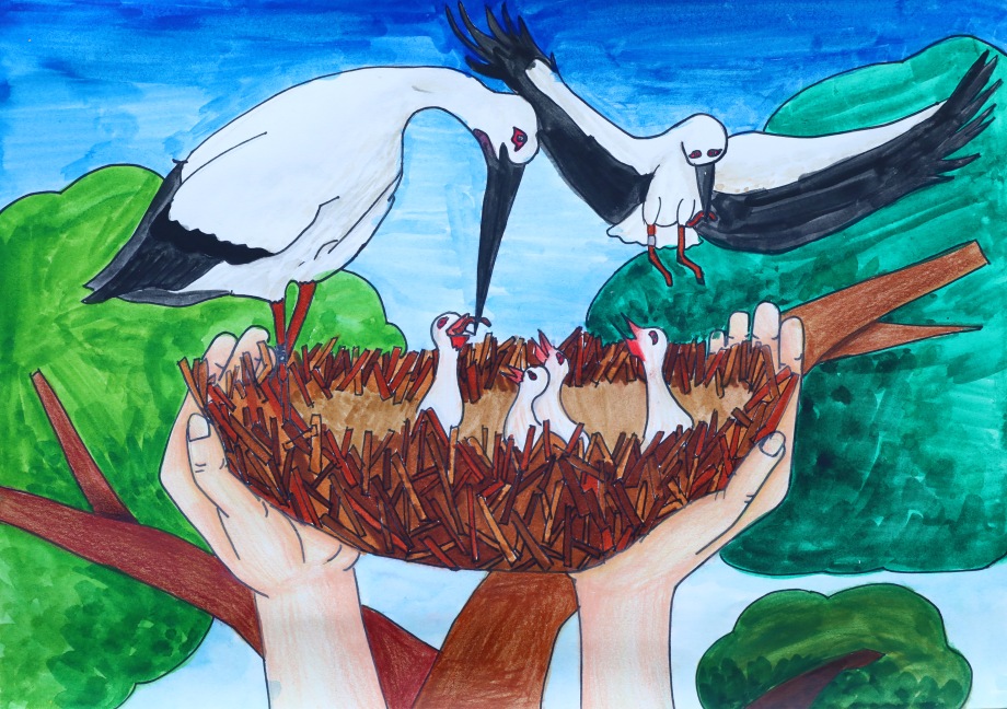 황새 전국 사진(그림) 공모전 당선작 이미지