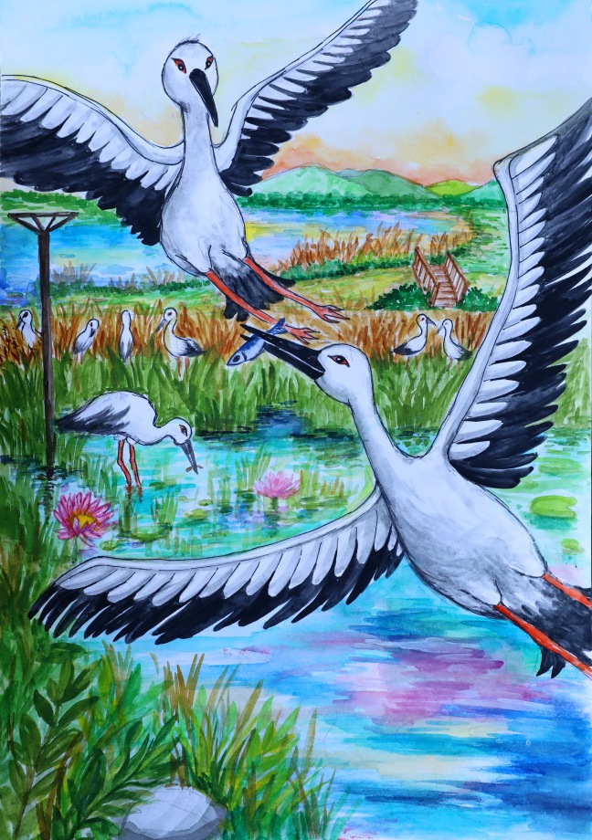 황새 전국 사진(그림) 공모전 당선작 이미지