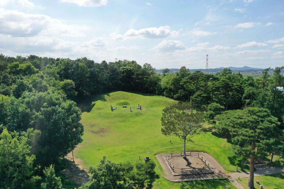 급류정 김흥경(추사 고조부)묘와 천연기념물 백송 이미지