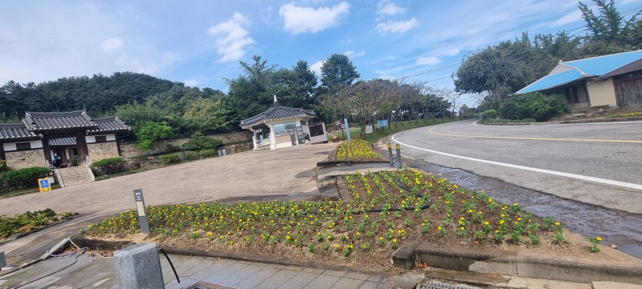 예산군 추사고택, 가을꽃 메리골드 식재작업 완료 이미지