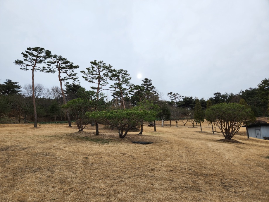 예산군 관광시설사업소, 추사고택 조경수 전정 공사 완료 이미지