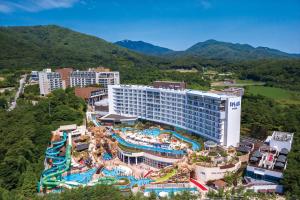 스플라스리솜 대표사진