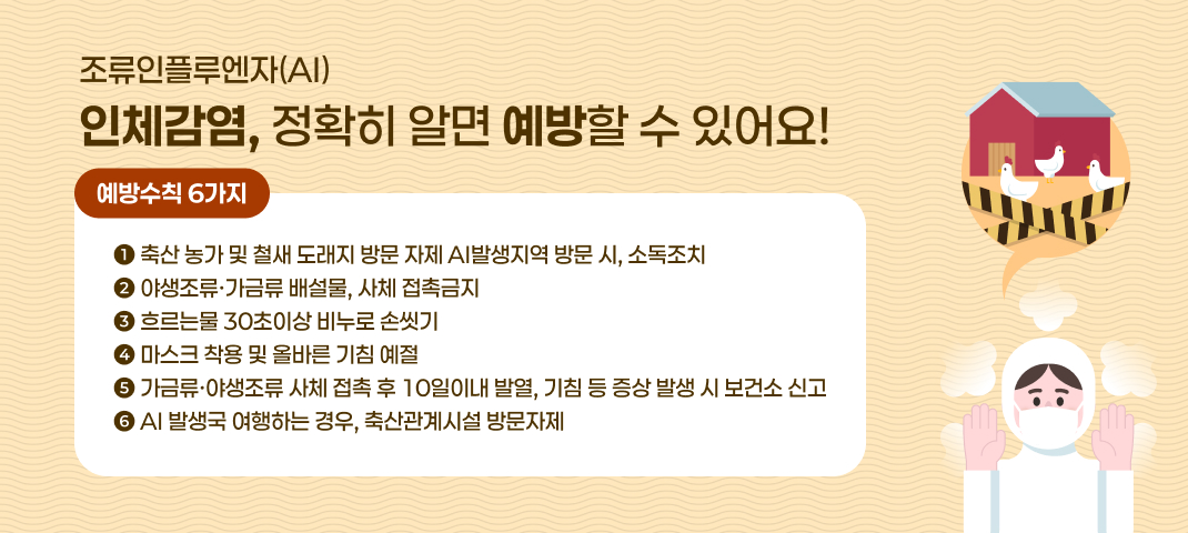 조류인플루엔자(AI) 인체감염, 정확히 알면 예방할 수 있어요!
  예방수칙 6가지 : ① 축산 농가 및 철새 도래지 방문 자제 AI발생지역 방문 시, 소독조치
                   ② 야생조류·가금류 배설물, 사체 접촉금지
                   ③ 흐르는물 30초이상 비누로 손씻기
                   ④ 마스크 착용 및 올바른 기침 예절
                   ⑤ 가금류·야생조류 사체 접촉 후 10일이내 발열, 기침등 증상 발생 시 보건소 신고
                   ⑥ AI 발생국 여행하는 경우, 축산관계시설 방문자제