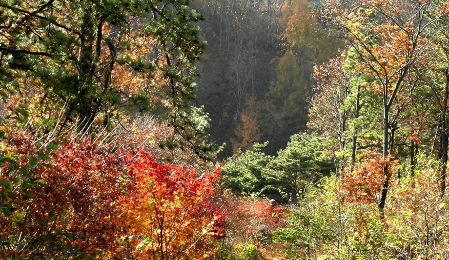 sub01_01_02_05_img06