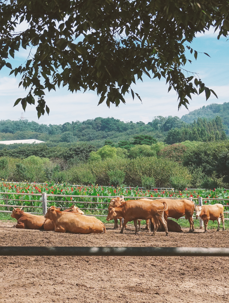 PHOTO ZONE SNS 이미지02