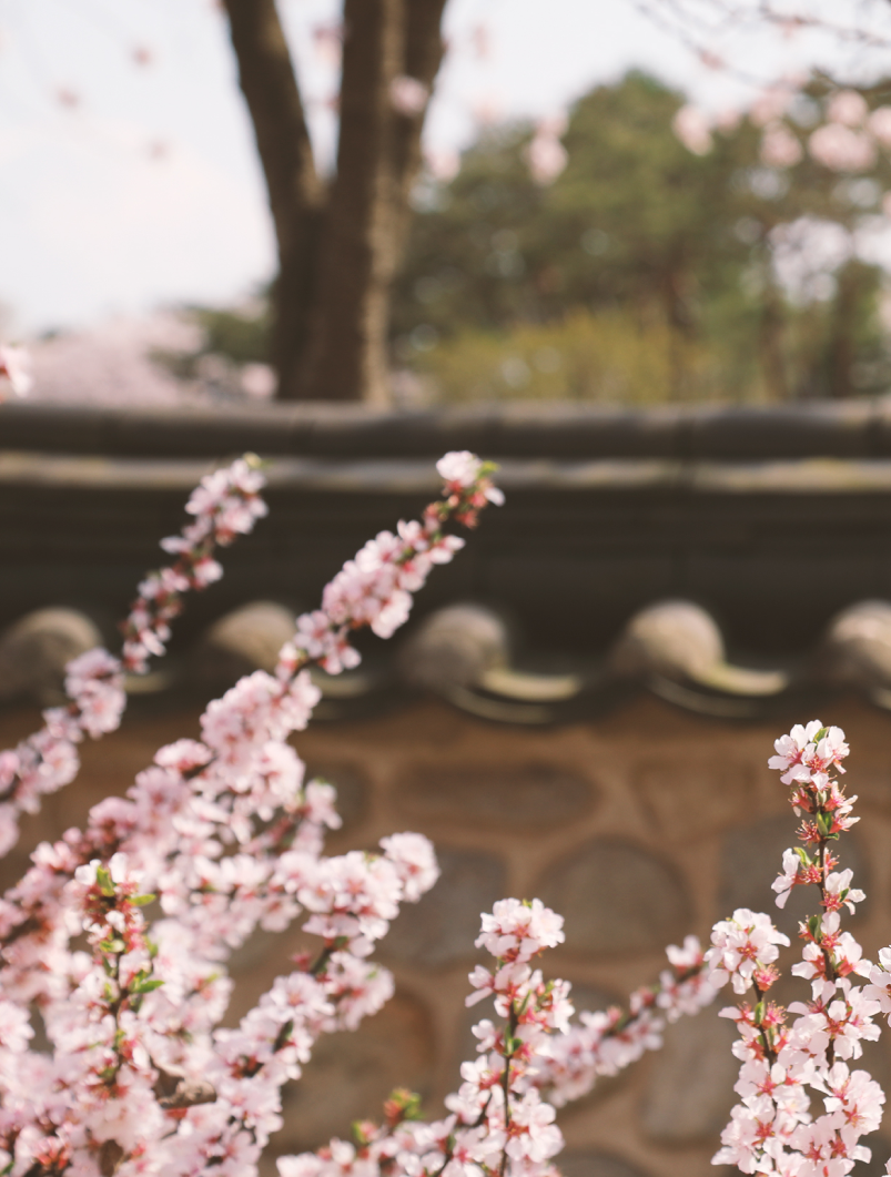 PHOTO ZONE SNS 이미지03