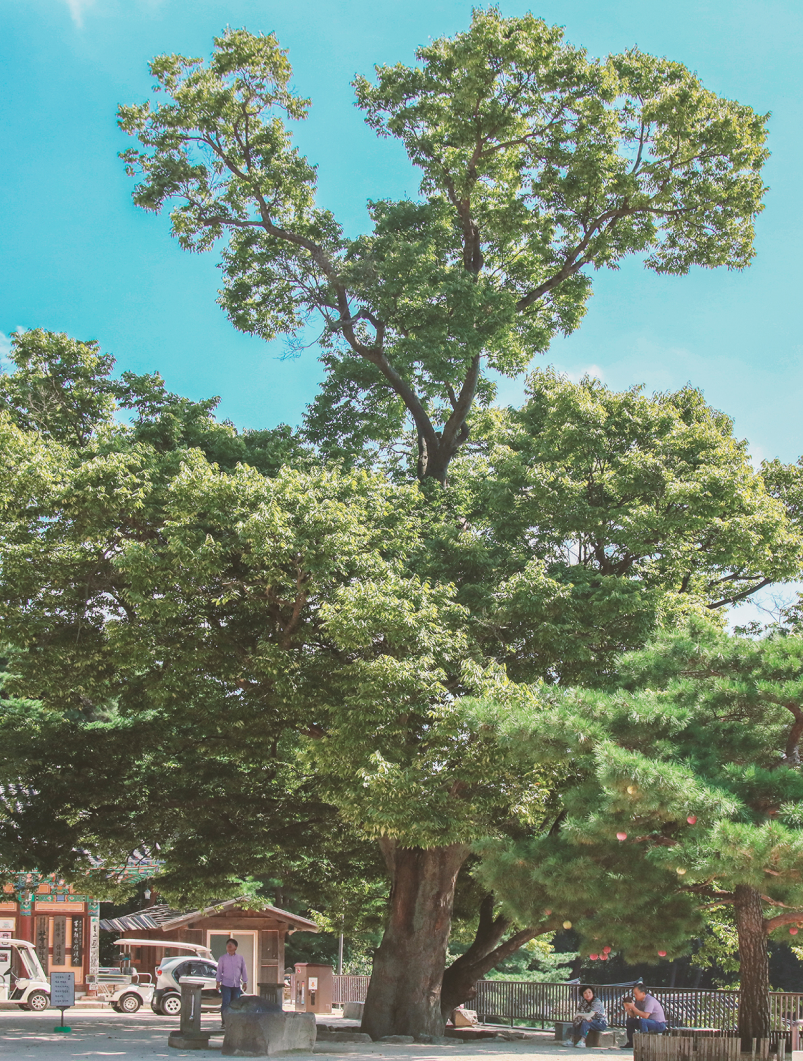 PHOTO ZONE SNS 이미지05