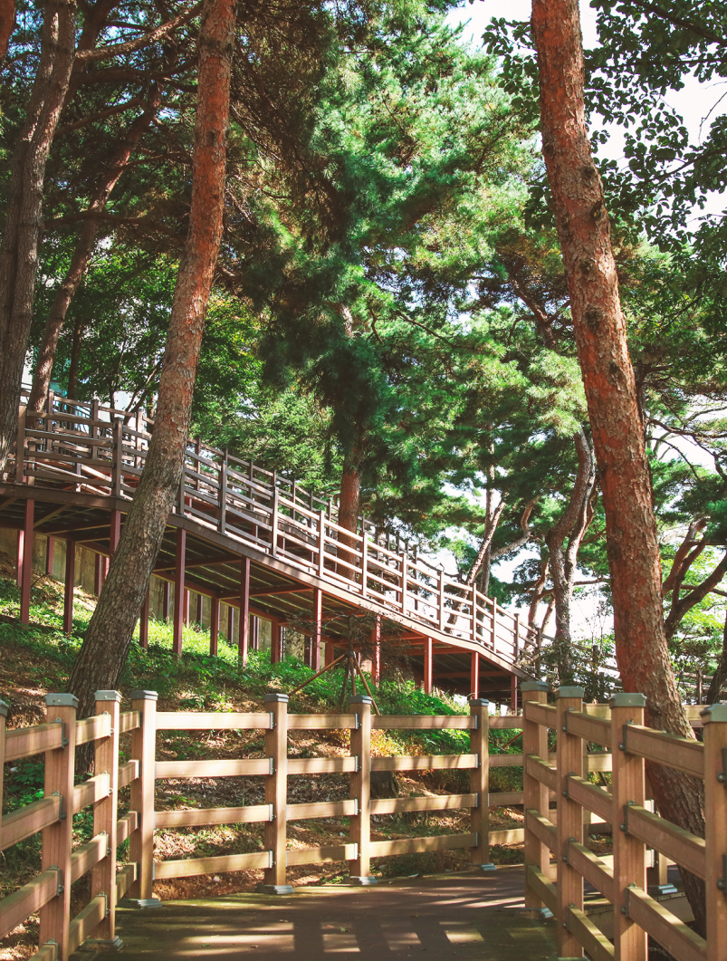 SLOW WALKING SNS 이미지01