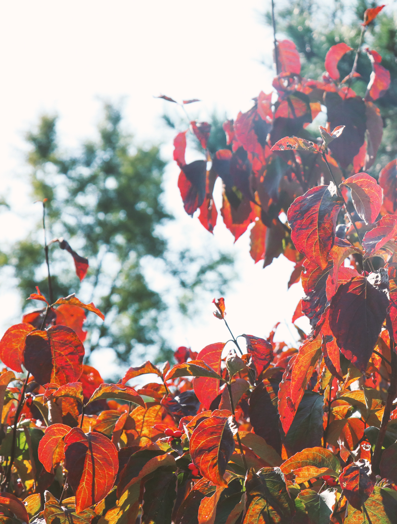 SLOW WALKING SNS 이미지02