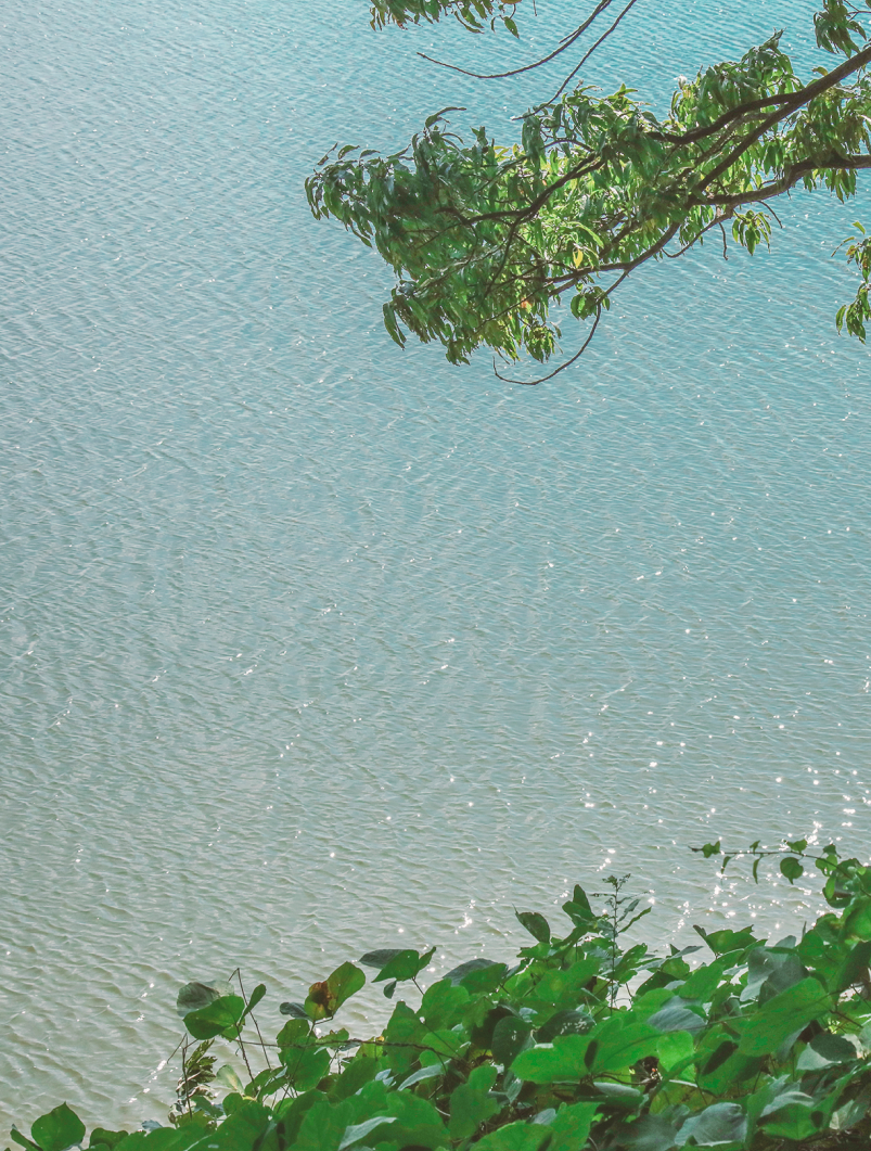 SLOW WALKING SNS 이미지03