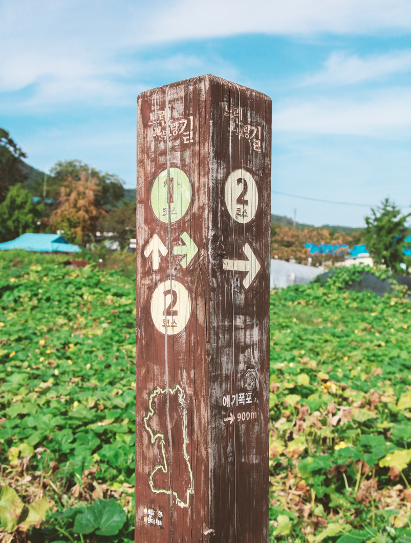 SLOW WALKING SNS 이미지05