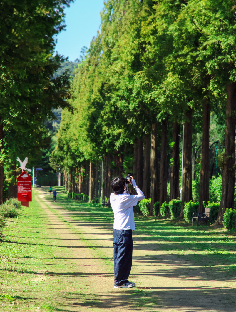 HEALING SNS 이미지01