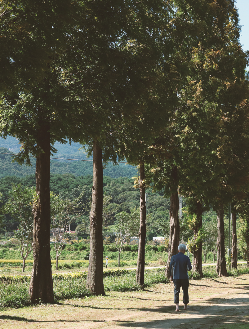 HEALING SNS 이미지04