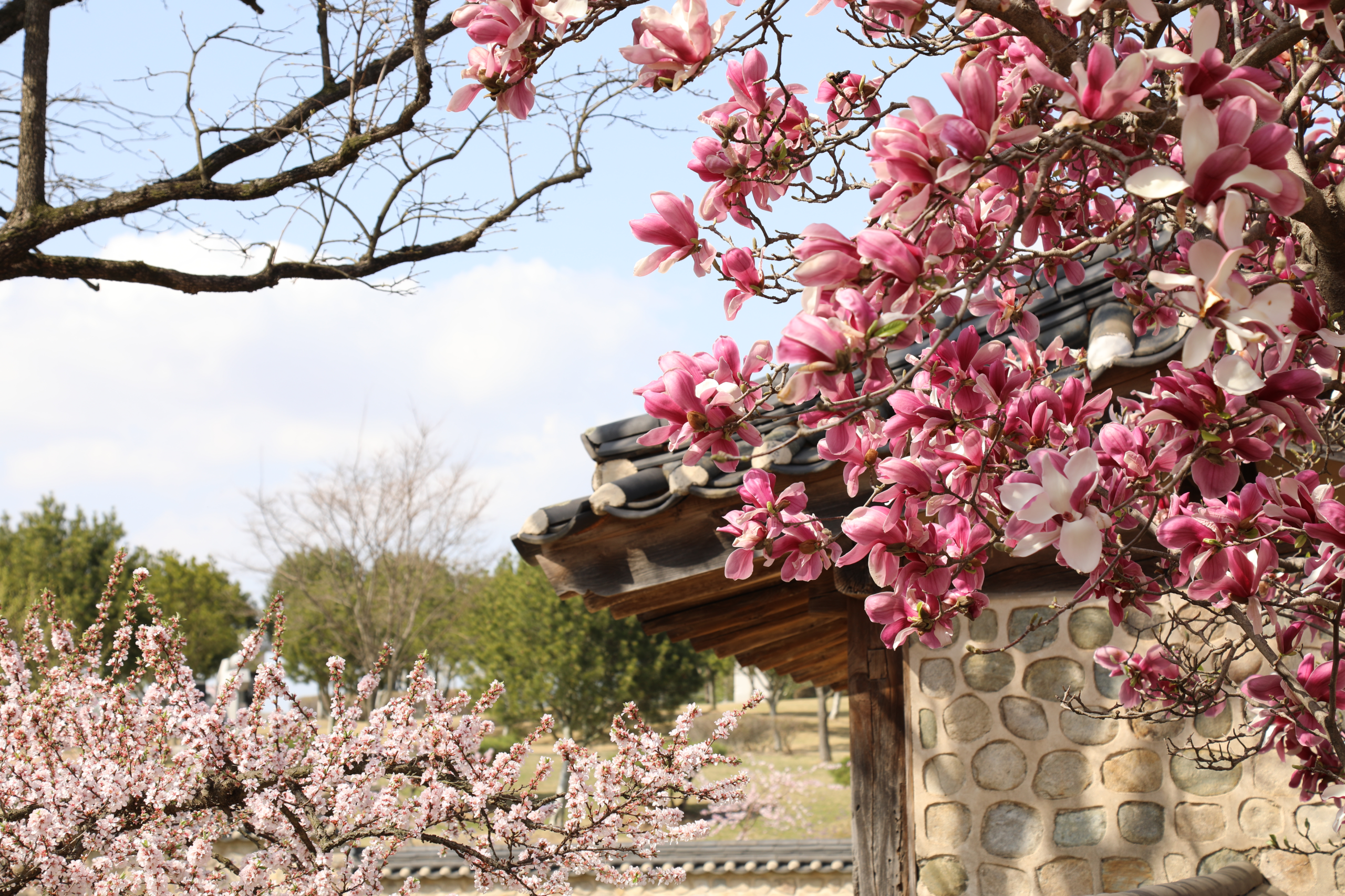 추사고택 이미지01