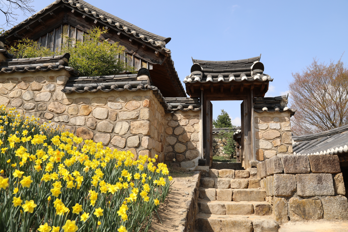 추사고택 이미지03