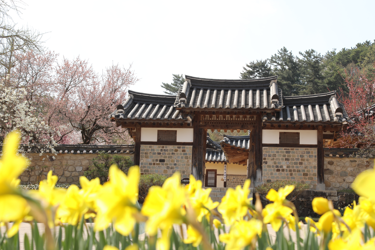 추사고택 이미지04