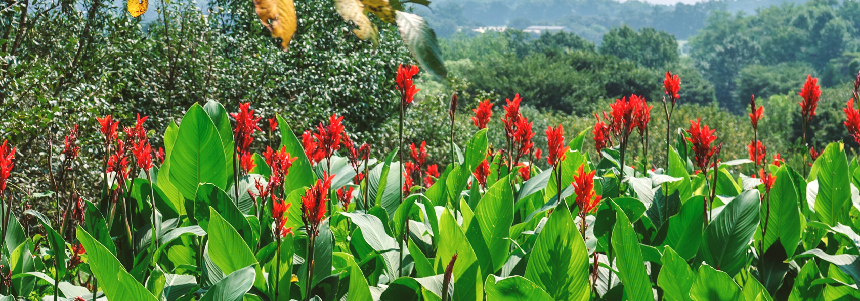 아그로랜드 태신목장 이미지02