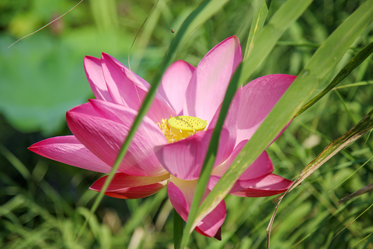 아그로랜드 태신목장 이미지04